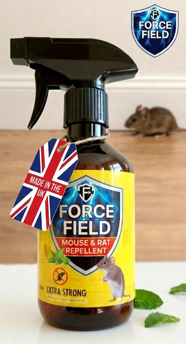 Mouse mice rat spider - rat,