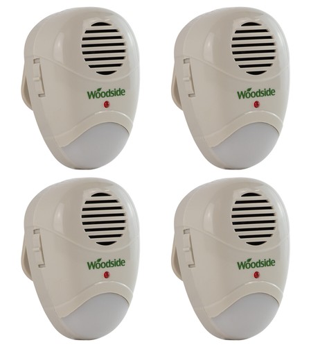 Plug mouse rat rodent - 4, mouse/rat/rodent