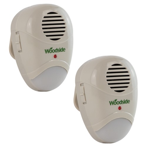 Plug mouse rat rodent - 2, x